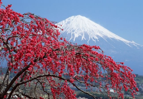 在日本房子交接时应该注意什么