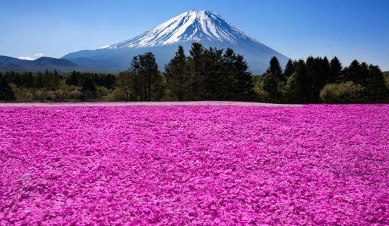 在日本买二手房需要注意什么