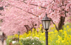 想要在日本买房先来了解这些事情