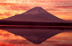 中国人为什么要在日本买房