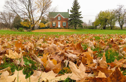 日本横滨国立大学留学租房如何选房？