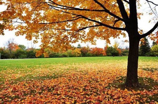 日本房产网之日本购房需要什么流程？